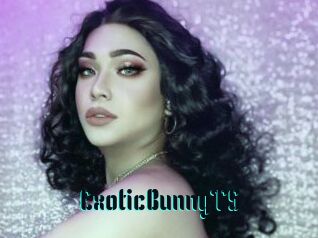 ExoticBunnyTS