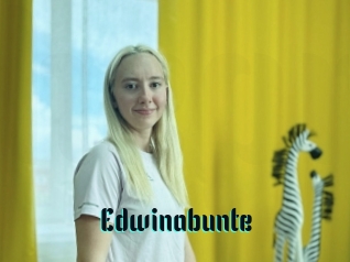 Edwinabunte