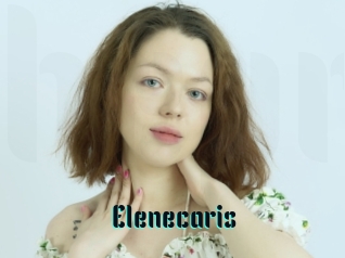 Elenecaris