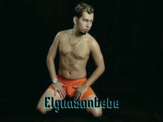 Elguazonbebe