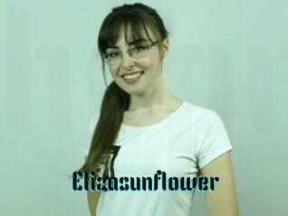 Elizasunflower