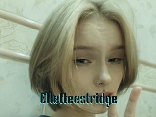 Elletteestridge