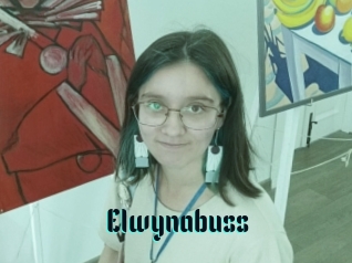 Elwynabuss