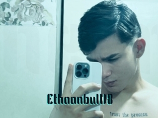 Ethaanbull18