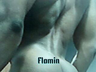 Flamin