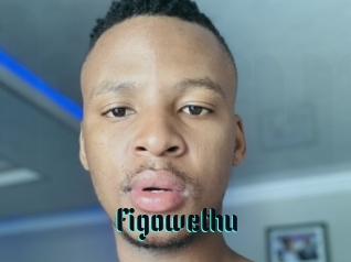 Figowethu