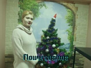 Flowercosmos