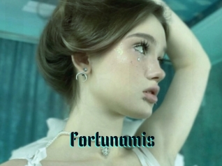 Fortunamis