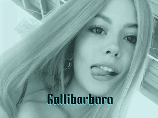 Gallibarbara