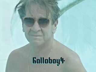 Galloboy4