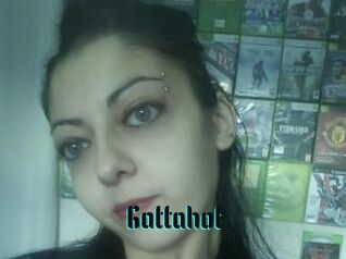 Gattahot