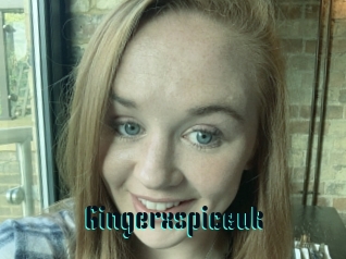 Gingerxspiceuk