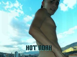 HOT_NOAH