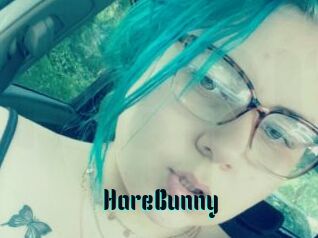 HareBunny