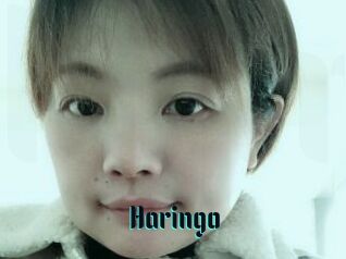 Haringo