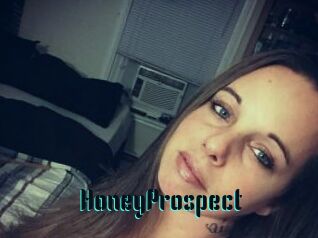 HoneyProspect