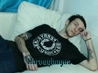 Harveyhayes