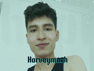 harveymach Hentai Pride