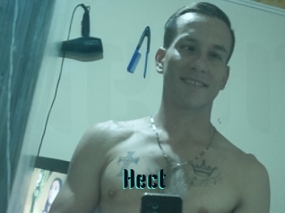 Hect