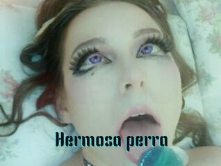 Hermosa_perra