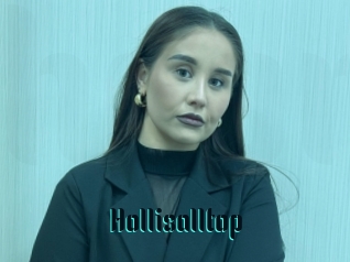 Hollisalltop