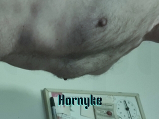 Hornyke