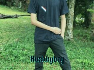 Hushkyboy