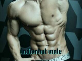 Indianhot_male