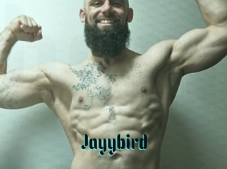 Jayybird