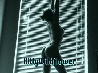 KittyWildflower
