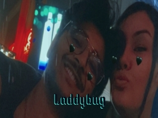 Laddybug