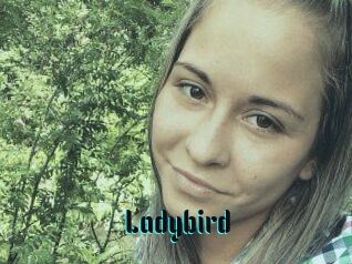 Ladybird