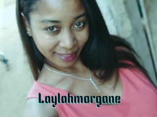 Laylahmorgane