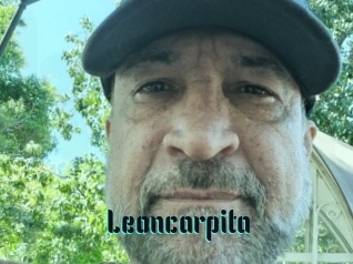 Leoncarpita