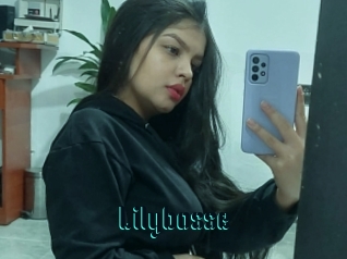 Lilybosse