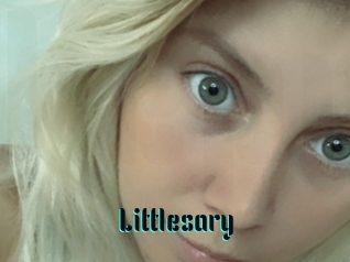 Littlesary