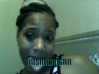 MSMICHIGAN