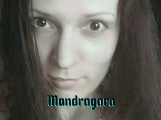 Mandragora