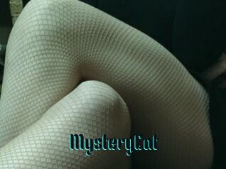 Mystery_Cat