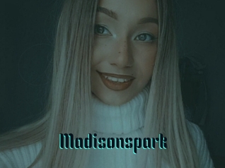 Madisonspark