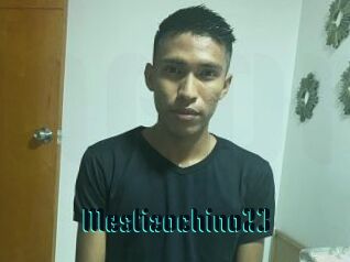 Mestizochino23