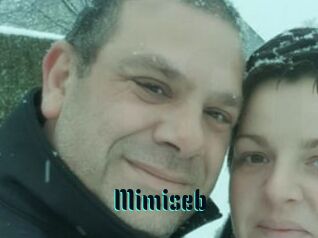 Mimiseb