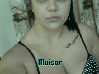 Muisor