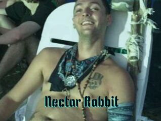 Nectar_Rabbit