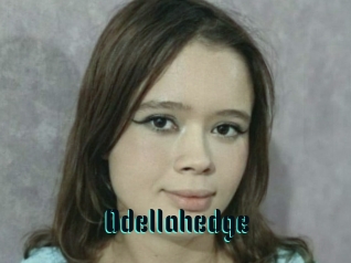 Odellahedge