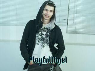 PlayfulNigel