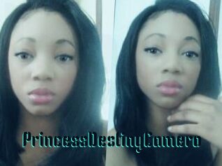 PrincessDestinyCamero