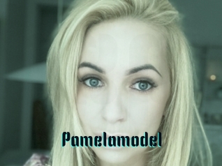 Pamelamodel