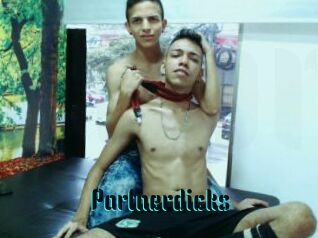 Partnerdicks
