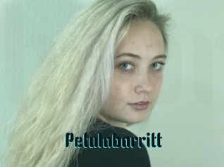 Petulabarritt